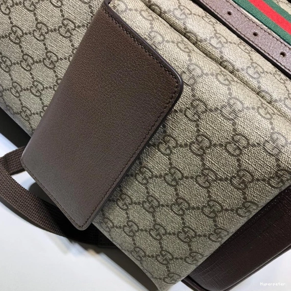 Hyper Peter Gucci Ophidia backpack GG medium 0728